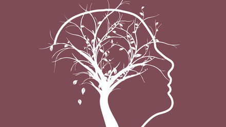 tree-g437596dfb_1920.jpg