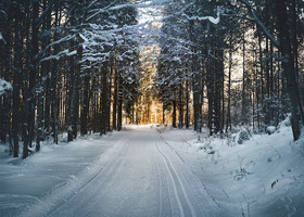 Winter road pexels-simon-berger-688660.jpg