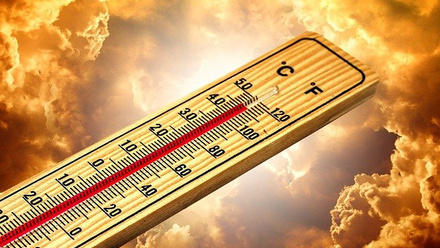 thermometer-g40365ad6e_640.jpg