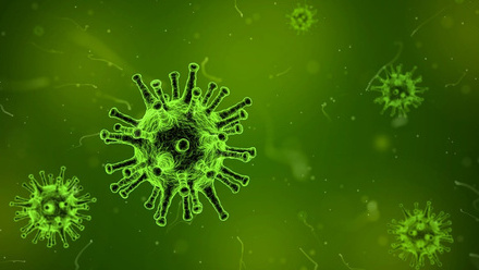 virus-1812092_1280.jpg