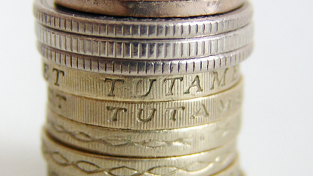 pounds cropped