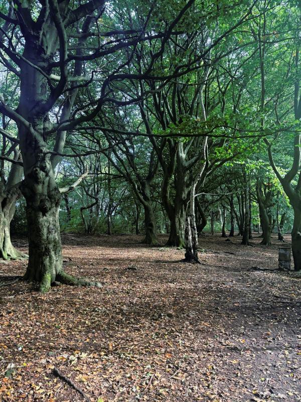 The Care Collection - Good News Oct-2025 - 2.jpg