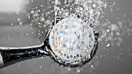shower head