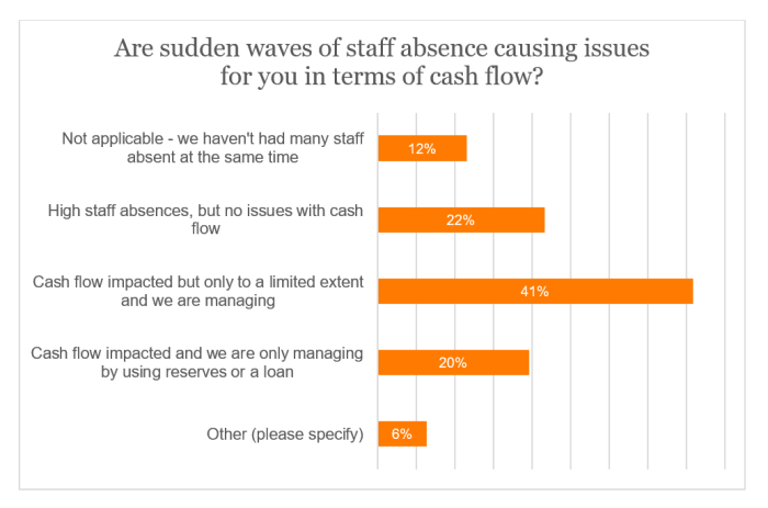 SSP survey - Cash flow issues.png