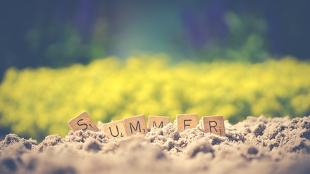 summer pexels-ylanite-koppens-1209611.jpg