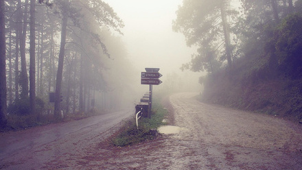 pathway pixabay MD