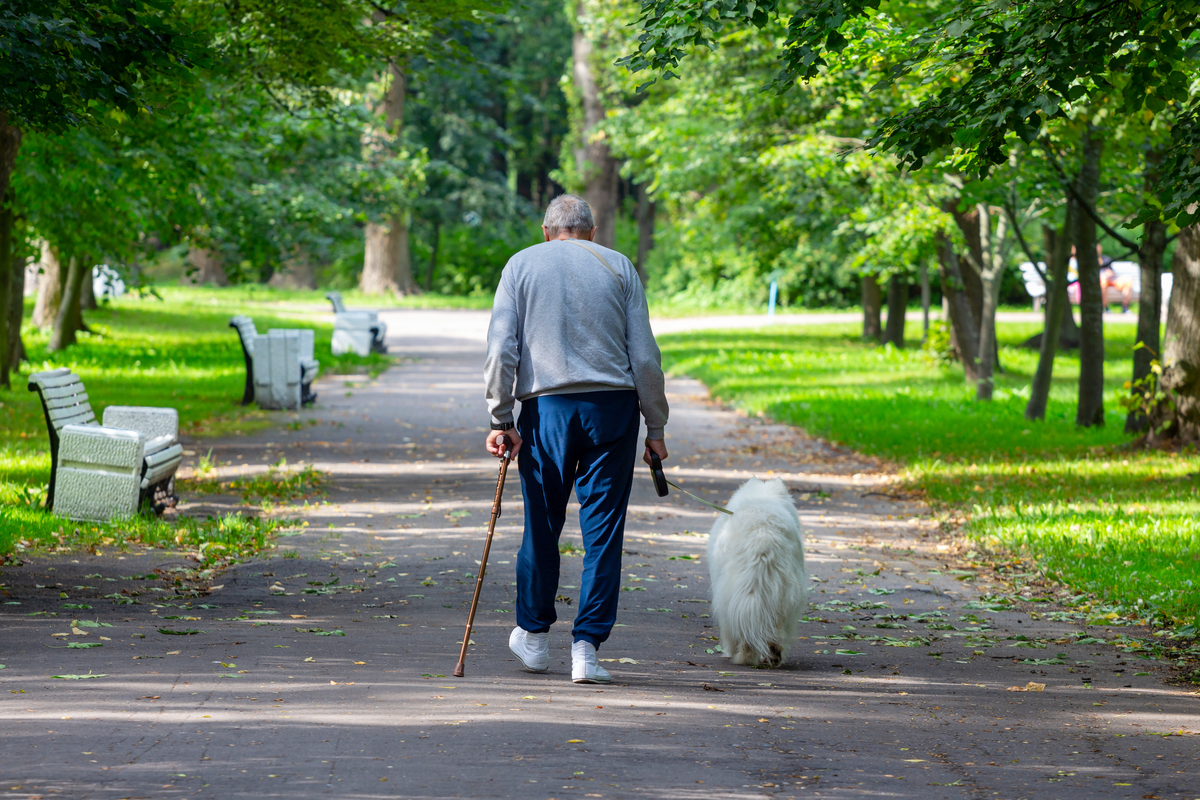 man dog 1200 shutterstock_1808227138.png 1