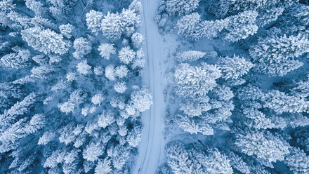 Snow winter pexels-ruvim-miksanskiy-1438761 (1).jpg