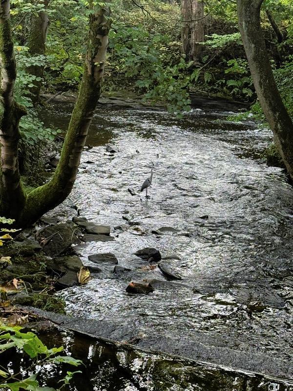 The Care Collection - Good News Oct-2025 - 3.jpg